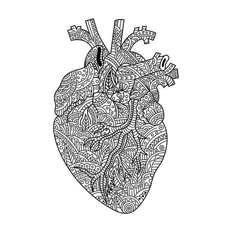 Premium Vector Hand Drawn Of Heart In Zentangle Style
