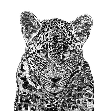 Leopard Art Print Ros Shiers