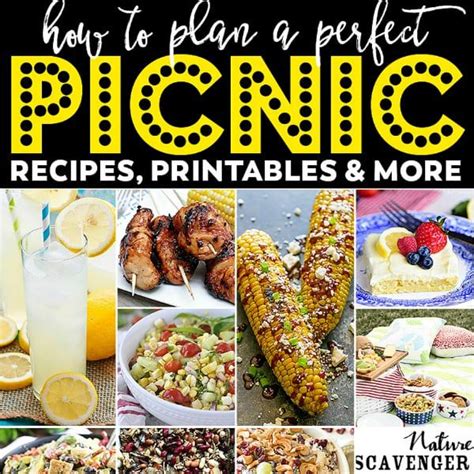 All The Details For How To Plan A Perfect Picnic MENU With Party Ideas