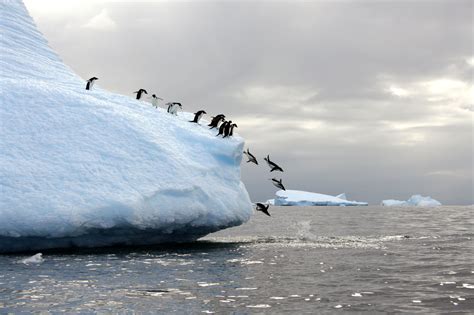 Brilliant photographs showing the stunning beauty of antarctic ...
