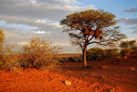Kalahari Desert Nambia Out Of Africa 3 Deserts Of The World