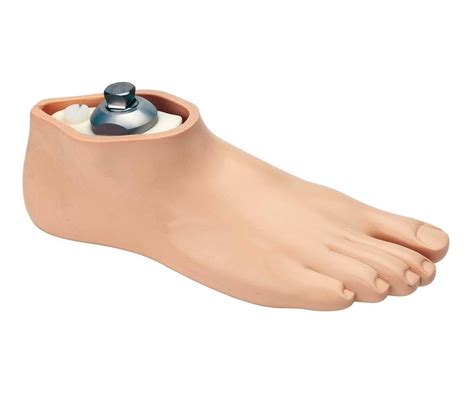 Senior Prosthetic Foot Prosthetic Feet Shop Online