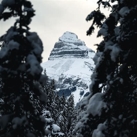 Download Wallpaper 2780x2780 Mountain Peak Snow Trees Landscape
