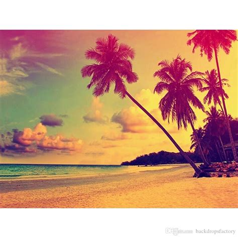 2020 Palm Trees Sunset Sandy Beach Photography Background