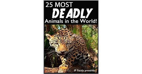 25 Most Deadly Animals In The World Animal Facts Photos And Video