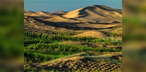 Chinas Green Miracle Reforestation Of Kubuqi Desert