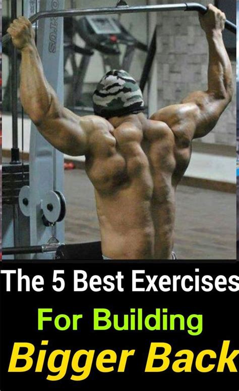The 5 Best Exercises For Building Bigger Back Good Back Workouts