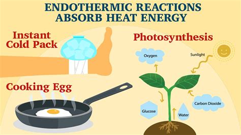 Simple Endothermic Reaction Examples