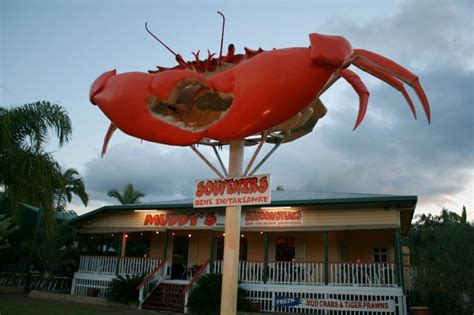 10 Best places to eat mud crab in Queensland | Best places to eat, Cool