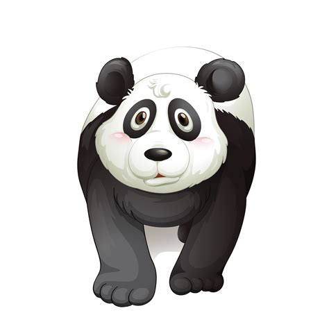 Giant Panda Bear Lion Bear Png Download 25002500 Free