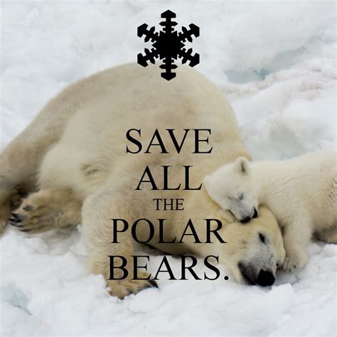 How We Can Help Polar Bears Managers Office