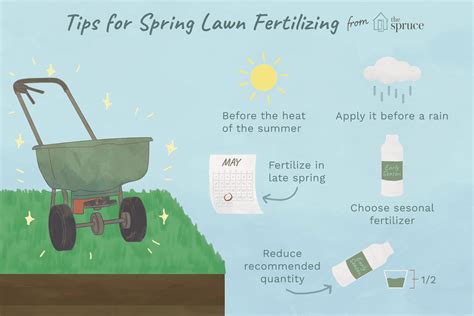When To Fertilize The Lawn In Spring