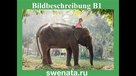 Aber noch wichtiger ist, wie man. Bildbeschreibung B1 I Mündliche Prüfung B1 I Deutsch - YouTube