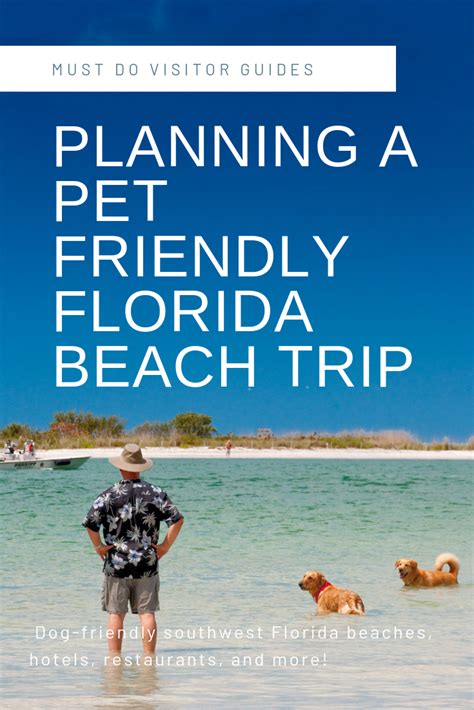 This is another one for all the cat and dog lovers out there, as a portion. Taking a Pet-Friendly Vacation to Florida | Dog friendly ...