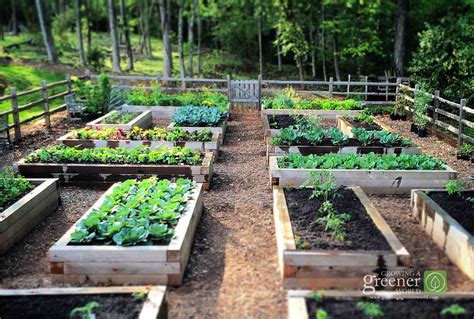 Three Key Benefits Of Gardening In Raised Beds Growing A