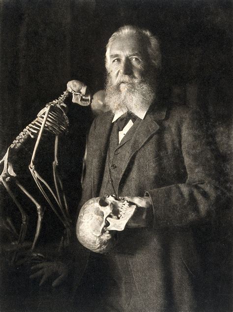 Ernst Haeckel Ecología Y Corología Nipea
