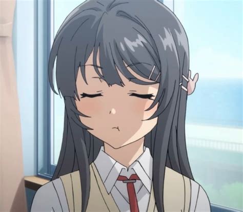 Maisan Anime Pfp Download Mai Sakurajima 1080p 2k 4k 5k Hd Wallpapers
