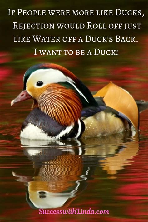 An expression used for saying that advice, warnings or insults have no affect on someone. If people were more like ducks, rejection would roll off just like water off a duck's back. I ...