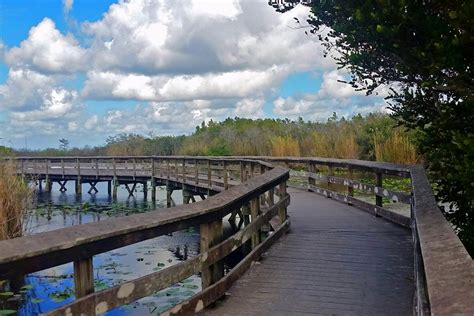 Things To Do Everglades National Park In Florida Park Ranger John
