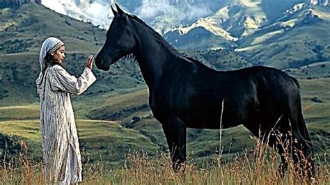 Lista najlepszych filmów o koniach Filmy