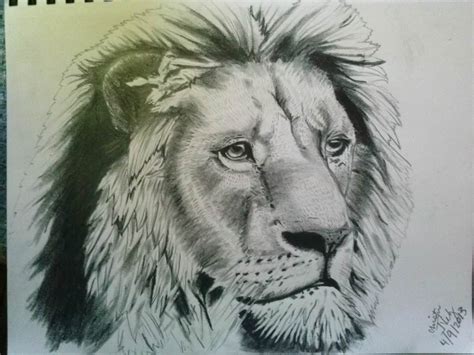Free 17 Wonderful Lion Drawings In Ai