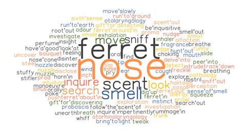 NOSE: Synonyms and Related Words. What is Another Word for NOSE? - GrammarTOP.com