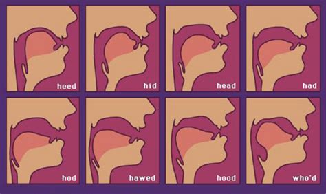 Ultimate Guide To Analyze Singing Voice Singing Carrots