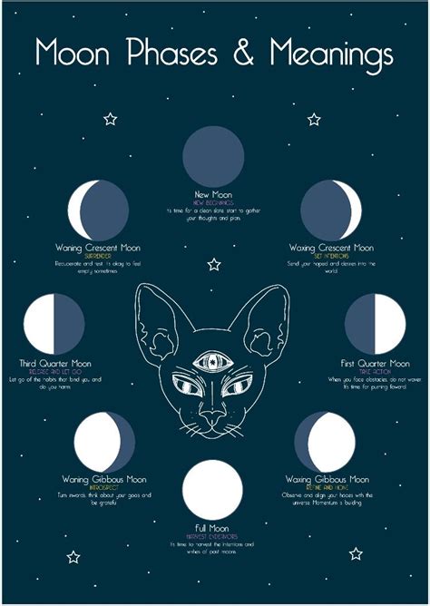 Moon Phases And Meanings Moon Phases Meant To Be Moon