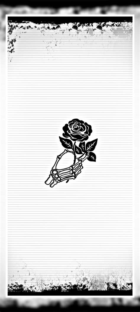 Black Rose Wallpaper Full Hd安卓版应用apk下载