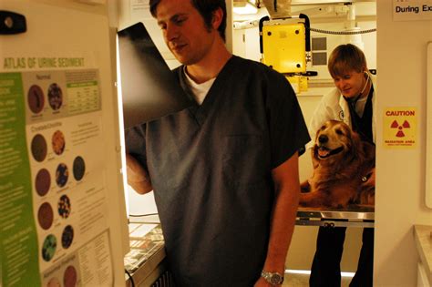 Best Friends Mobile Veterinary Clinic Asheville North Carolina