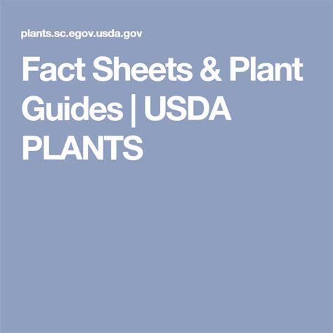 Fact Sheets And Plant Guides Usda Plants Plant Guide Usda Fact Sheet