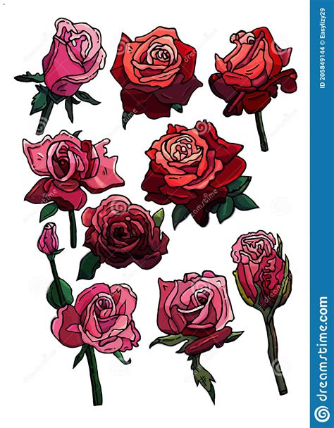 Set Of Roses Red Pink And Orange Flowers And Buds Cartoon Style Roses