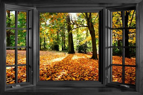 Bay Window Autum Details About 3d Effect Window Bay Autumn Forest