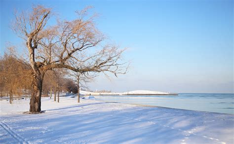 Free Images Landscape Tree Water Branch Snow Winter Sky