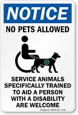Service Animals Welcome Sign Images