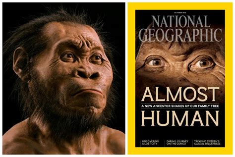 The find is arguably one of the most important discoveries in human origins research in half a century. Five fascinating facts about Homo Naledi