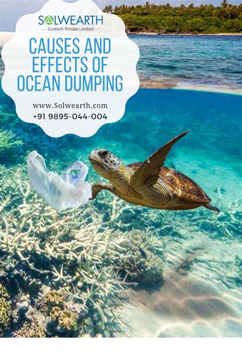 They feel shy or uncomfortable when their children ask them about sex. Causes and effects of ocean dumping (With images) | Ocean ...