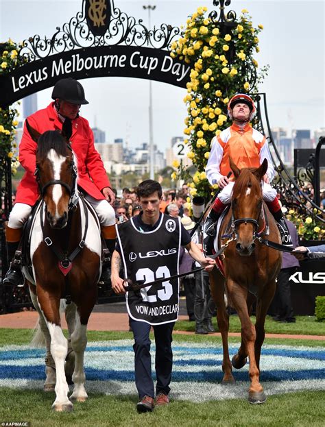 Melbourne Cup 2019 Vow And Declare Wins The Melbourne Cup At Flemington Daily Mail Online
