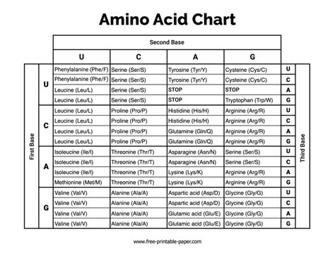 Amino Acid Abbreviation Chart