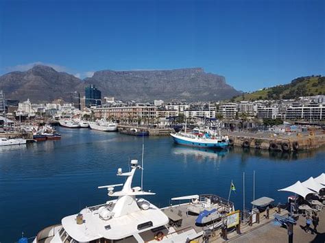 Cape Town Central 2021 Best Of Cape Town Central South Africa Tourism