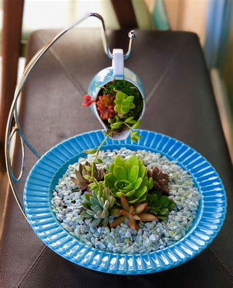 Pin By Lilly Rochel On Indoor Garden Ideas In 2023 Succulent Garden