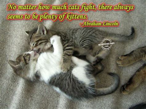 Brainyquote has been providing inspirational quotes since 2001 to our worldwide community. Kitten Friendship Quotes. QuotesGram