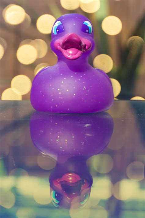 Rubber Ducky Rubber Ducky Youre The One You Make Bath T Flickr