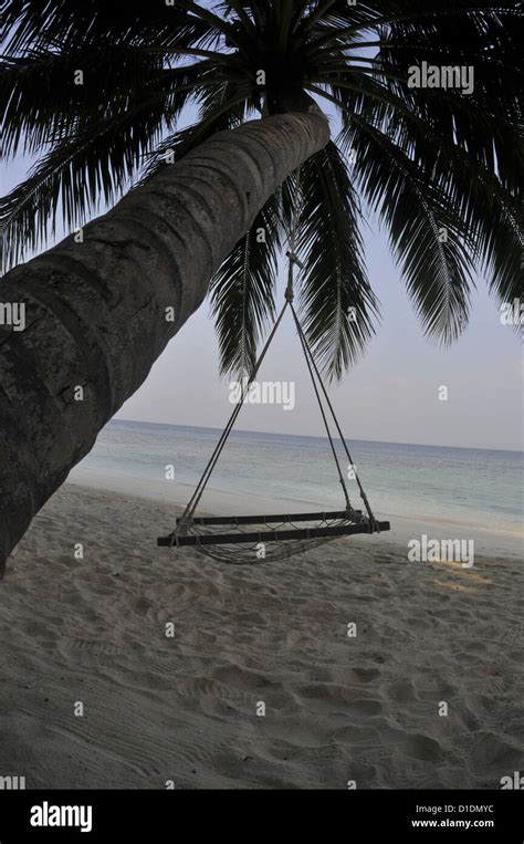 Tropical Island Beach Scene With Palm Tree Hammock Stock Photo Alamy