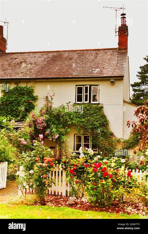 Idyllic English Country Cottage And Garden In The Cotswolds Area Stock