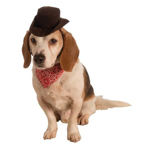 Rubies Cowboy Halloween Dog Costume Baxterboo