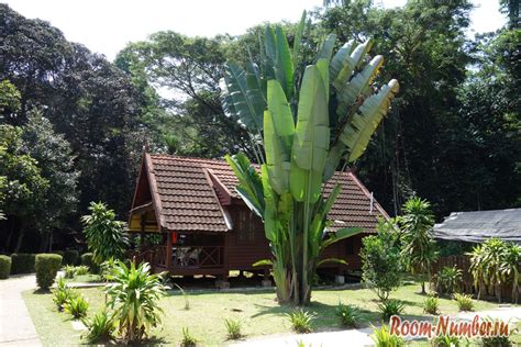 Maybe you would like to learn more about one of these? Отель Mutiara Taman Negara Resort в национальном парке ...