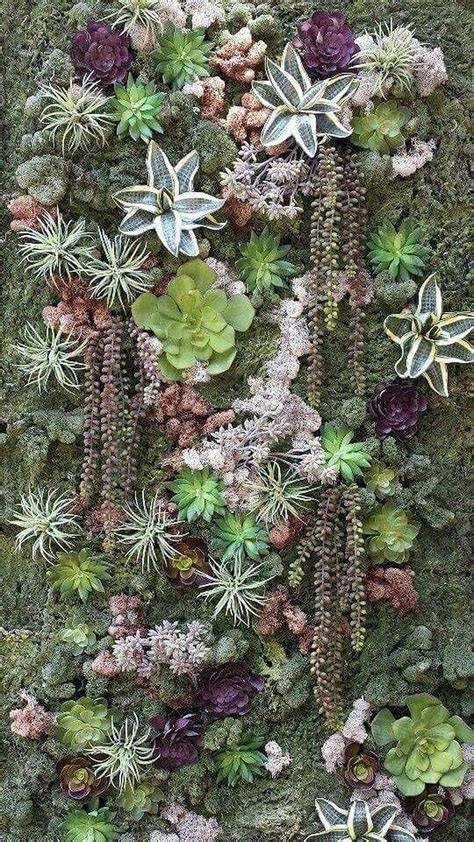 Awesome 37 Beautiful Vertical Succulent Wall 37