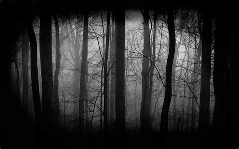 Download Dark Forest Wallpaper By Nicolemcfarland Dark Forest