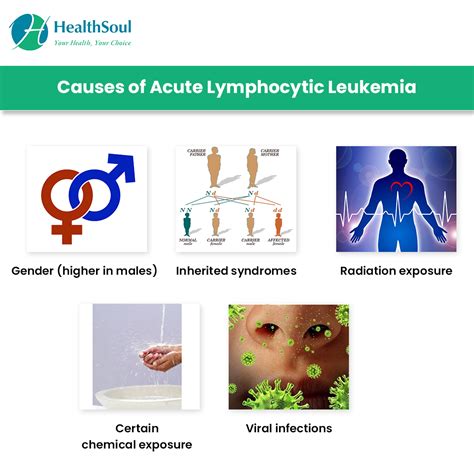 Acute Lymphocytic Leukemia Symptoms And Treatment Hematology